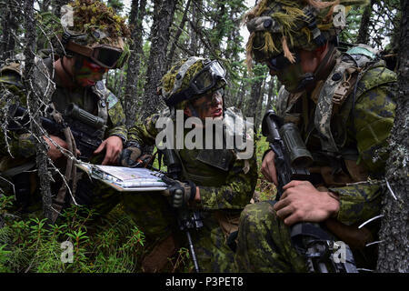 Esercito canadese Il Mag. Chelsea Anne Braybrook, centro, comandante del bravo Company, 1° Battaglione, Principessa di Patricia luce canadese di fanteria, passa le informazioni a CPL. Brandon Balan, sinistra e Cpl. James Thoman in Donnelly Area Formazione vicino a Ft. Greely, Alaska, durante l'Artico incudine esercizio, Domenica, 24 luglio 2016. Arctic incudine è un giunto, multinazionale di esercizio che comprende le forze dalla USARAK del primo Stryker Brigade Combat Team, XXV divisione di fanteria e UATF, insieme con le forze dal 196th della brigata di fanteria congiunto del Pacific multinazionale funzionalità di disponibilità, l'Iowa Guardia Nazionale di 133r Foto Stock