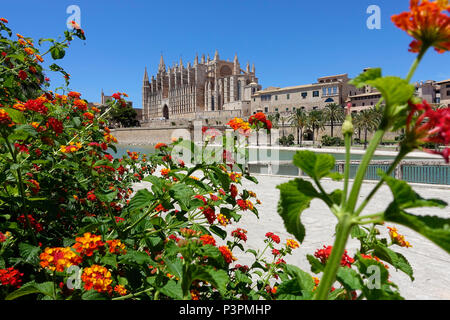 Cattedrale di Palma de Mallorca Spagna Spain Foto Stock