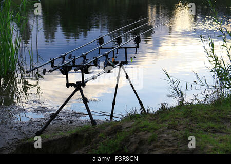 La pesca alla carpa aste sulle rive di un lago. Foto Stock