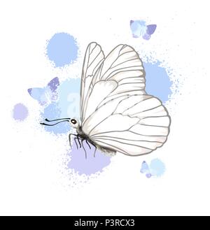 Farfalla realistico isolati su sfondo bianco. Illustrazione Vettoriale