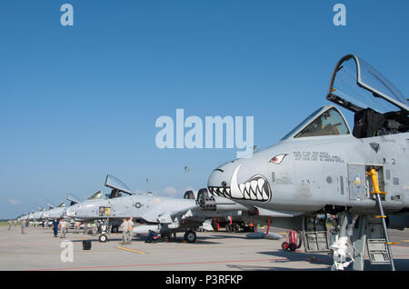 Otto Stati Uniti Air Force A-10 Thunderbolt IIs assegnato all'442nd Fighter Wing, Whiteman Air Force Base, Missouri, parco sulla pista come i manutentori eseguire la post-volo ispezioni presso Ämari Air Base, Estonia, luglio 25, 2016. A-10s partecipano ad una formazione di volo di implementazione con l'Estonian Air force per migliorare la mutua capacità e aumentare l'interoperabilità. Dopo più di due settimane di training con forze britanniche, la A-10s è volato in Estonia dal Royal Air Force Leeming, Inghilterra. (U.S. Air Force foto di Senior Airman Missy sterlina/rilasciato) Foto Stock