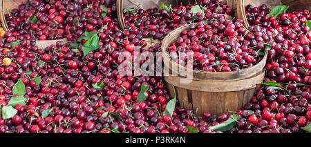 Yummy cherry bacche impilati su un tavolo decorato con un cesto su un mercato degli agricoltori Foto Stock