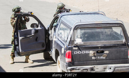 Durante la casella NTC tour dimostrativo, lettori di ruolo dal xi Armored reggimento di cavalleria reagire ad un agguato attacco di stile sul loro convoglio, nella città di Ujen sulla Fort Irwin, 29 luglio 2016. Xi ACR forniti ai cittadini la possibilità di visitare luoghi di interesse in Fort Irwin e osservare come l'America del treno di guerrieri e preparati a combattere. (U.S. Esercito Foto di Sgt. David Edge, undicesimo ACR) Foto Stock