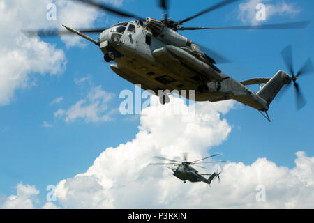 Due CH-53E Super stalloni con Marine elicottero pesante Squadron 461 preparare a terra alla Marine Corps Air Station New River, N.C., luglio 28, 2016 CH-53E Super Stallion è il più grande in elicottero dei militari degli Stati Uniti e in grado di trasportare un 26.000-pound Luce veicolo blindato, 16 tonnellate di carico o un numero sufficiente di combattere-caricato Marines per condurre un assalto o operazione umanitaria. Le funzionalità fornite dalla CH-53E rafforzare la capacità expeditionary di Marines Corps unità e fanno di questo aereo uno dei più utili nella Marine Corps. HMH-461 è parte di Marine Aircraft Group 29, 2. Foto Stock