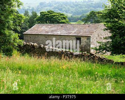 Campo fienile vicino al West Burton a Wensleydale Yorkshire Dales Inghilterra Foto Stock