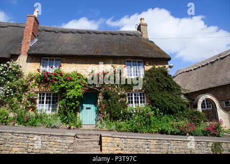 Ricoperto di Rose cottage con tetto in paglia in country village, Ebrington, il Costwolds, Gloucestershire, England, Regno Unito, Europa Foto Stock