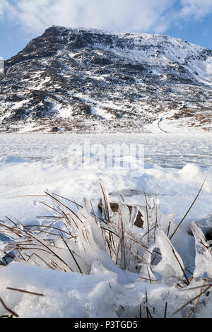 Pen yr Ole Wen mountain e Llyn Ogwen lago in ghiaccio e neve, Snowdonia, il Galles del Nord Foto Stock