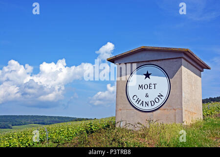 Moët & Chandon Champagne vigneto, Reims Montagne parco naturale regionale, Marne, Champagne-Ardenne, Francia Foto Stock