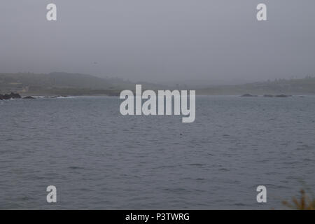 West Cork, Irlanda. 19 giugno 2018. Un umido grigio per iniziare la giornata, con basse nubi e vapore che ricopre le colline quasi fino al livello del mare, con una promessa di meteo più luminose più tardi quando il cloud inizia a rompere. Credito: aphperspective/Alamy Live News Foto Stock