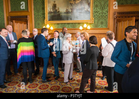 House of Lords, Londra, Regno Unito. Xix Jun, 2018. Lancio di Peter Tatchell Foundation la nuova relazione sul costo economico di omofobia alla House of Lords Credito: Zefrog/Alamy Live News Foto Stock