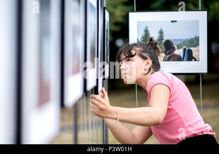 Hannover, Germania. 19 giugno 2018. Studente Pauline imposta foto della relazione 'Dcome Herz im Harz' da Vivian Rutsch, in corrispondenza della zona esterna della Lumix festival per giovani fotogiornalismo. Il giornalismo fotografico e documentario photorgaphy corsi di studio dell'Hochschule Hannover (Università di scienze applicate e le arti) trasforma l'ex-Expo motivi in una grande mostra fotografica. I visitatori possono guardare avanti a 60 coperture con più di 1400 immagini. Credito: Hauke-Christian Dittrich/dpa/Alamy Live News Foto Stock