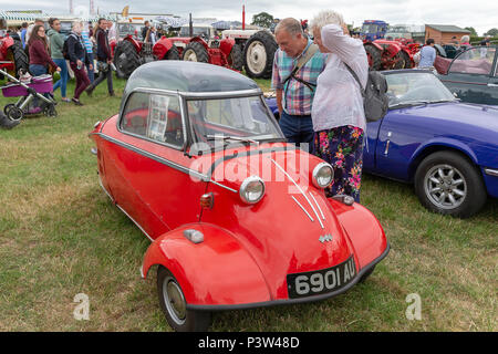 Knutsford, Regno Unito. Xix Jun, 2018. 19 Giugno 2018 - Il Cheshire Showground a Creta Fattoria Flittogate Lane, Knutsford ha ospitato il 2018 Royal Contea di Cheshire Show. La mostra è circa le favolose attrazioni, caratteri & sapori di Cheshire & al di là di credito: John Hopkins/Alamy Live News Foto Stock