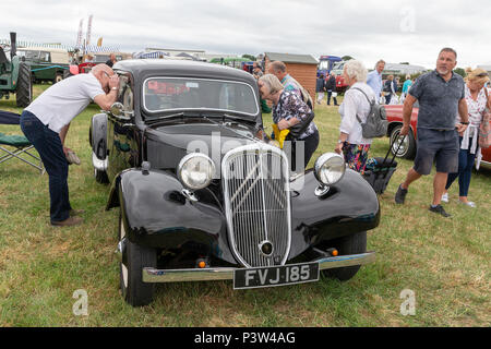 Knutsford, Regno Unito. Xix Jun, 2018. 19 Giugno 2018 - Il Cheshire Showground a Creta Fattoria Flittogate Lane, Knutsford ha ospitato il 2018 Royal Contea di Cheshire Show. La mostra è circa le favolose attrazioni, caratteri & sapori di Cheshire & al di là di credito: John Hopkins/Alamy Live News Foto Stock