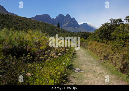 La cantina Stark-Condé nella pittoresca valle Jonkershoek in Stellenbosch nel Cape Winelands del Sud Africa. Foto Stock