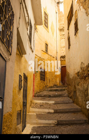 Vicolo giallo nella medina di Moulay Idriss, Marocco Foto Stock