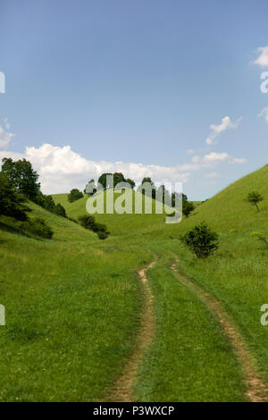 Colline Zagajica in Serbia, splendido paesaggio in un giorno di estate Foto Stock