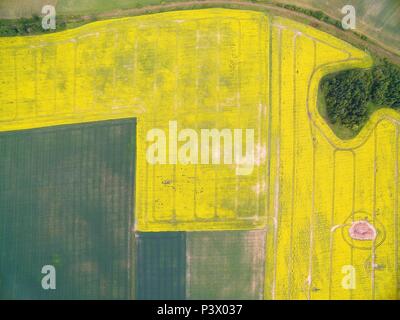 Vista aerea del paesaggio rurale di Lake District - Mazury, Polonia. Campo della fioritura di colore giallo per la canola Foto Stock