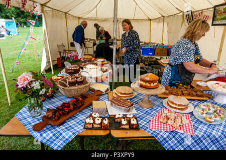 Donne locali vendendo torte alla annuale ad alto villaggio Hurstwood Fete, Sussex, Regno Unito Foto Stock