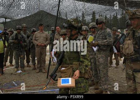 Il Mag. Chelsea Braybrook, commander, Bravo Company, Principessa di Patricia luce canadese compagnia di fanteria partecipa al 1° Stryker Brigade Combat, XXV divisione di fanteria Team analisi della missione breve durante la rotazione 16-02 Arctic incudine a Donnelly Area Formazione, Alaska Luglio 20. Foto Stock