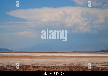 Il piano della valle a Badwater, Valle della Morte. Questo è il punto più basso negli Stati Uniti continentali, visto qui in un caldo pomeriggio di agosto. Foto Stock