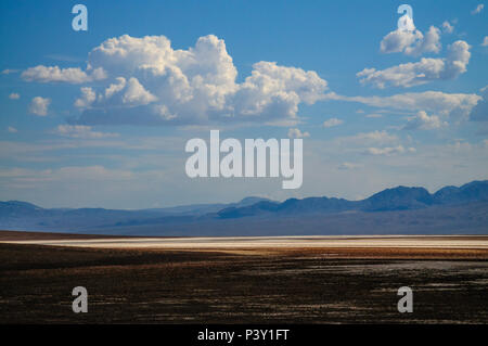 Il piano della valle a Badwater, Valle della Morte. Questo è il punto più basso negli Stati Uniti continentali, visto qui in un caldo pomeriggio di agosto. Foto Stock