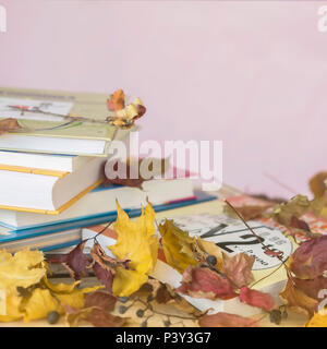 I libri scolastici, i libri sul tavolo con giallo Foglie di autunno, contro una luce sfondo rosa con copia spazio per il testo. Concetto di ritorno a scuola, istruzione Foto Stock