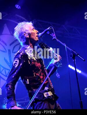 Jon Sevnik fiddle player con British folk band Il Levellers eseguendo a Wickham festival il 5 Agosto 2017 Foto Stock