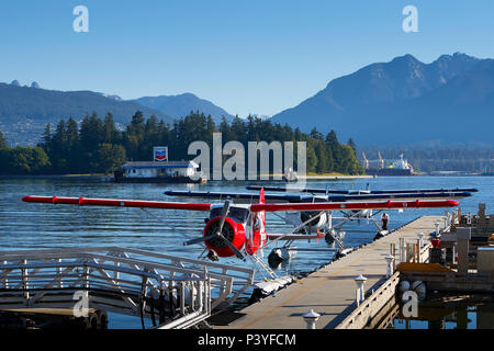 Porto aria idrovolanti Classic de Havilland Canada DHC-2 Beaver flotta ormeggiata al Porto di Vancouver Centro di Volo, Vancouver, BC, Canada. Foto Stock