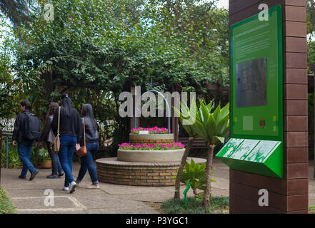 O Jardim das Sensações oferece um passeio em sensoriale 200 metro com plantas nativas, aromáticas e medicinais. Fica no parque Jardim Botânico - Rua Engenheiro Ostoja Rogunski, 690, Bairro Jardim Botânico, Curitiba (PR) O Horário de atendimento é de Terça-Feira a domingo, das 9h às 17h. Foto Stock