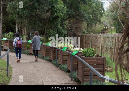 O Jardim das Sensações oferece um passeio em sensoriale 200 metro com plantas nativas, aromáticas e medicinais. Fica no parque Jardim Botânico - Rua Engenheiro Ostoja Rogunski, 690, Bairro Jardim Botânico, Curitiba (PR) O Horário de atendimento é de Terça-Feira a domingo, das 9h às 17h. Foto Stock