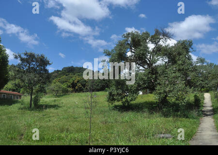 Vista da Rádio Observatório de Itapetinga, em Atibaia. Foto Stock