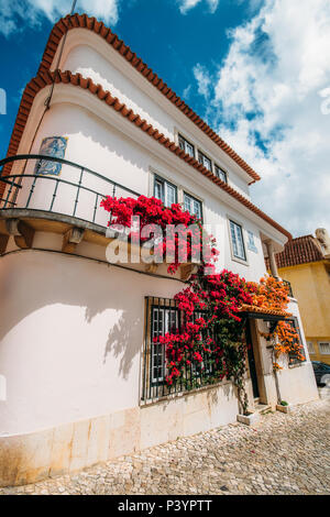 Ampio angolo di visione del tradizionale bianco delle case del centro storico di Cascais con boudaville piante contro un cielo blu Foto Stock