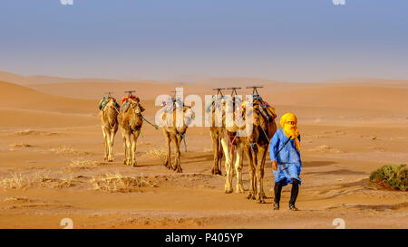 Un uomo alla guida di un cammello in treno attraverso il Marocco Sahara Deserto vicino Chegagga Foto Stock