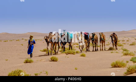 Un riff uomo in abito tradizionale che portano un cammello in treno in Marocco di deserto del Sahara Foto Stock