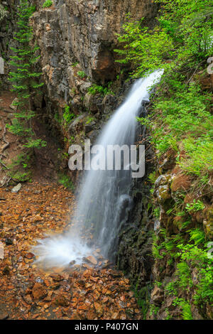 Memorial cade in Lewis e Clark National Forest vicino niehart, montana Foto Stock