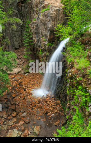 Memorial cade in Lewis e Clark National Forest vicino niehart, montana Foto Stock