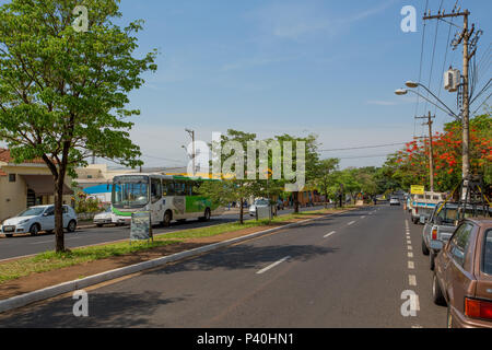 Rua Monteiro Lobato, em Ribeirão Preto, interior de São Paulo. Foto Stock