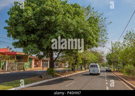 Rua Monteiro Lobato, em Ribeirão Preto, interior de São Paulo. Foto Stock