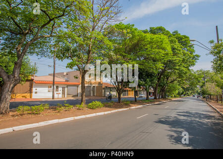 Rua Monteiro Lobato, em Ribeirão Preto, interior de São Paulo. Foto Stock