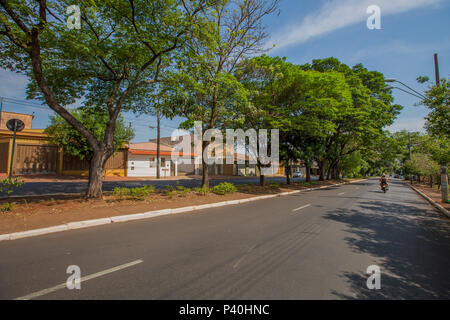 Rua Monteiro Lobato, em Ribeirão Preto, interior de São Paulo. Foto Stock