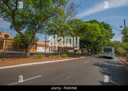 Rua Monteiro Lobato, em Ribeirão Preto, interior de São Paulo. Foto Stock