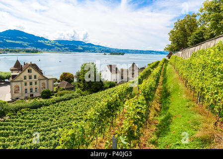 La Città di Rapperswil a lago Zuerich, Svizzera - destinazione di viaggio in Europa Foto Stock