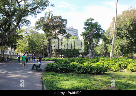 Parque Público Campo de Santana, nessun centro do Rio, localizado na Praça da República, localizado imediações nas de onde foi proclamada una República, em 1889. Nesta imagem: Apesar da beleza, da história e das áreas verdes, o Campo de Santana é utilizado apenas como local de passagem, já que não é considerado um local seguro, sendo muito utilizado por moradores de rua e eventualmente por ladrões agem que no entorno da Central do Brasil e usam o parque como rota de fuga. Foto Stock