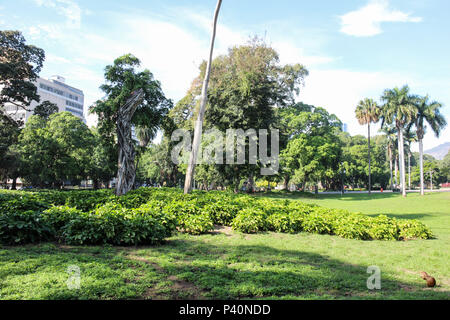 Parque Público Campo de Santana, nessun centro do Rio, localizado na Praça da República, localizado imediações nas de onde foi proclamada una República, em 1889. Nesta imagem: Apesar da beleza, da história e das áreas verdes, o Campo de Santana é utilizado apenas como local de passagem, já que não é considerado um local seguro, sendo muito utilizado por moradores de rua e eventualmente por ladrões agem que no entorno da Central do Brasil e usam o parque como rota de fuga. Foto Stock