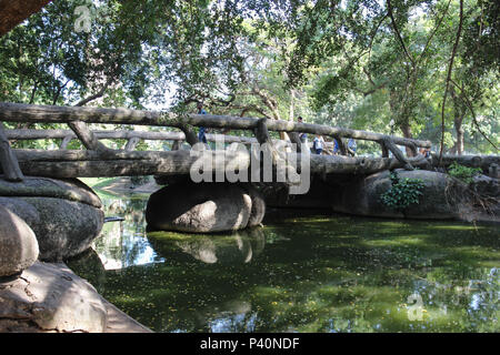 Parque Público Campo de Santana, nessun centro do Rio, localizado na Praça da República, localizado imediações nas de onde foi proclamada una República, em 1889. Nesta imagem: Ponte de Rocailles, de autoria do artista Auguste François Marie Glaziou. Feita em argamassa decorada imitando troncos de árvores, foi inaugurada em 1888. Foto Stock