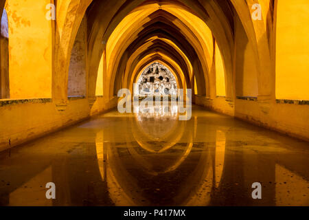 I bagni di Lady Maria di Padilla, un serbatoio di acqua piovana piscina sotto il palazzo di Alcazar, Siviglia, Andalusia, Spagna. Foto Stock