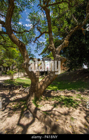 Colonia del Sacramento - Uruguai Puerta de la Cidadela Sacramento Colonia Uruguay bairro Histórico de Colonia del Sacramento influência portuguesa cidade foi fundada em 1680 Manuel Lobo Rio da Prata Rio de la Prata Patrimônio da Humanidade Colonia Colonia del Sacramento Uruguai América do Sul calle de los Suspiros ruínas do Convento de San Francisco Javier Patrimônio Histórico da Humanidade pela UNESCO em 1995 Foto Stock