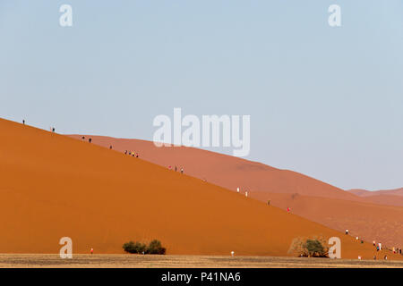 Il red dune di sabbia 45 è popolare per la scalata da turisti al Sossusvlei, all'interno del Parco Namib-Naukluft in Namibia. Foto Stock