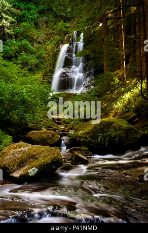 Kentucky superiore scende in Oregon Suislaw della Foresta Nazionale vicino alla città di Mapleton. Foto Stock