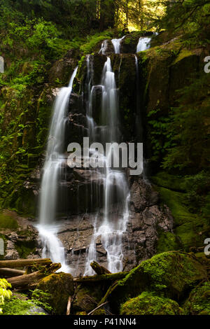 Kentucky superiore scende in Oregon Suislaw della Foresta Nazionale vicino alla città di Mapleton. Foto Stock